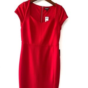Express fitted dress